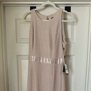 Adrianna Papell Champagne Floor Length Dress